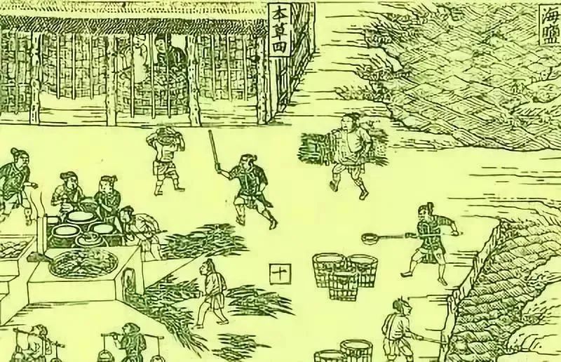 岱山目的地营造记丨中国浙江-40