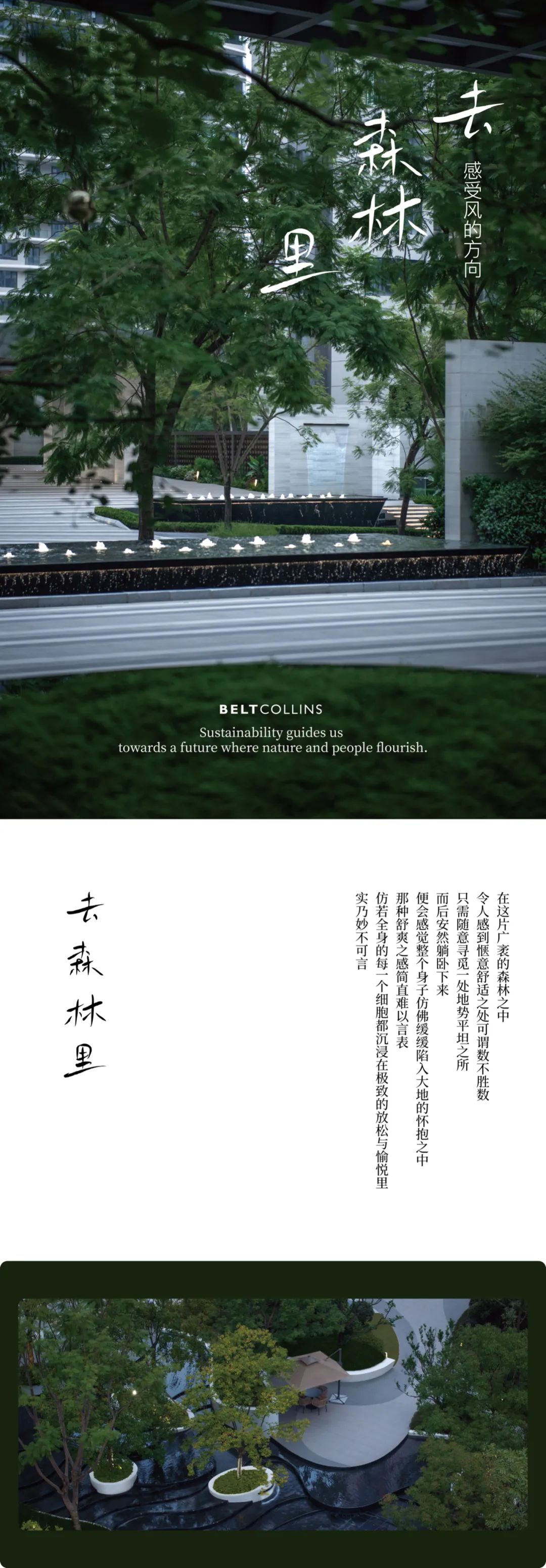 BELT COLLINS 成都天丨中国成都丨贝尔高林国际(香港)有限公司-0