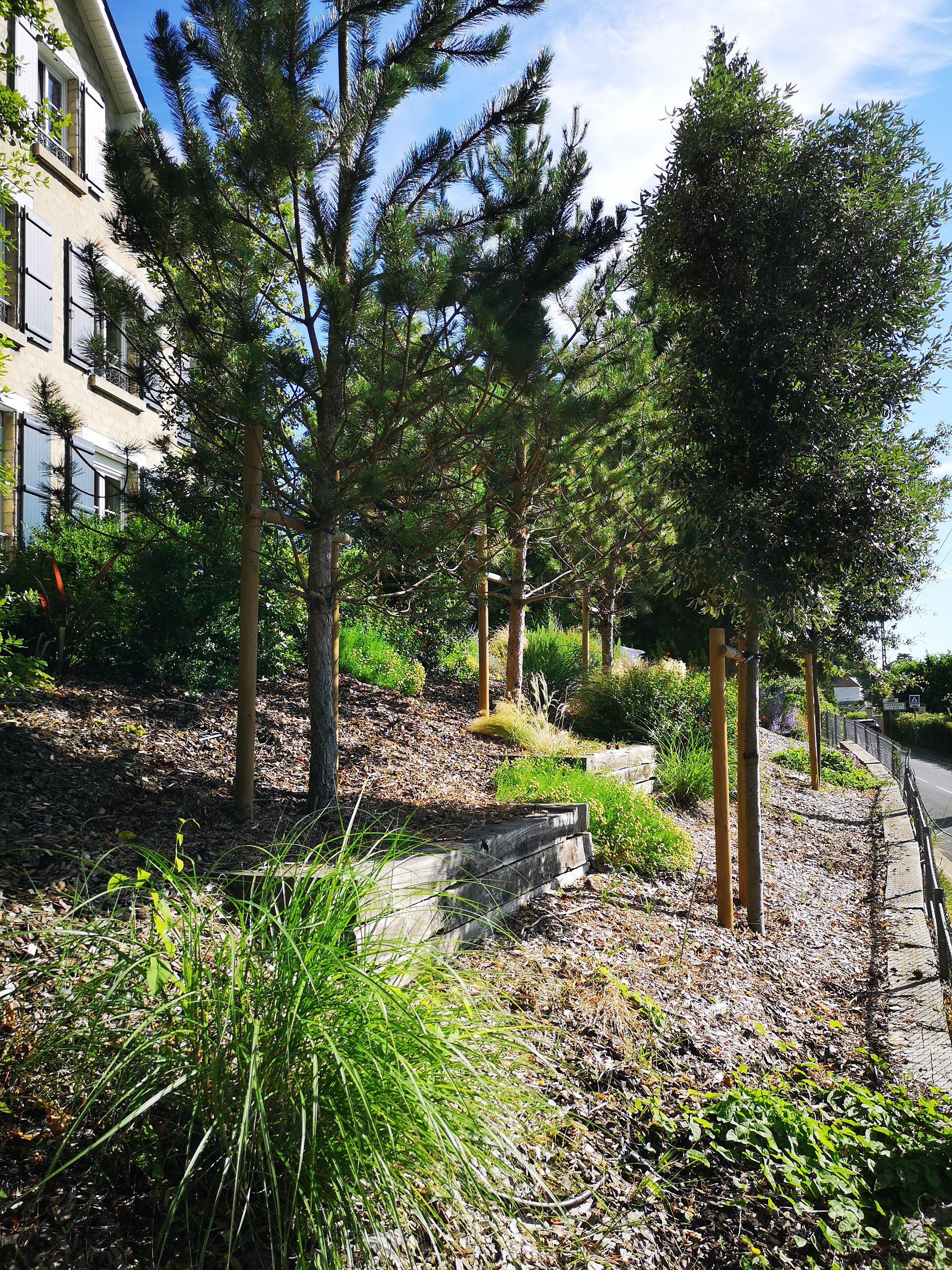 香槟叙伊瑟花园设计-7