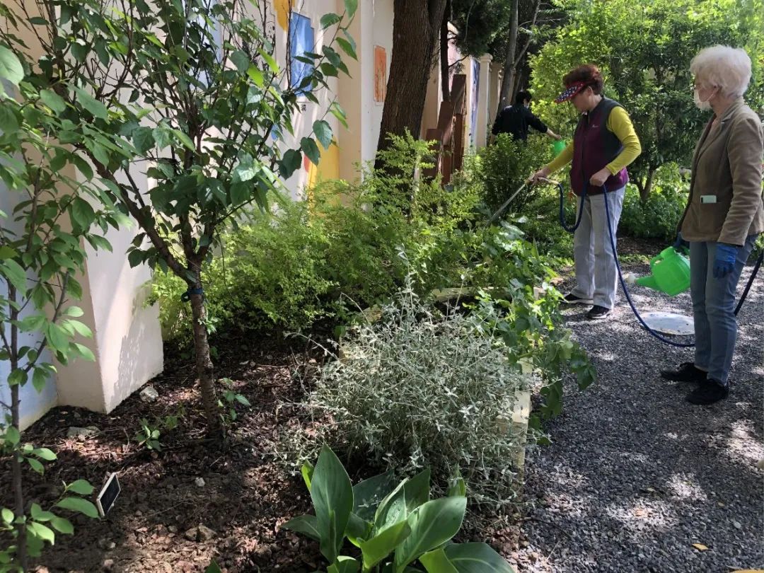 MINI花园中的弃物手作-119