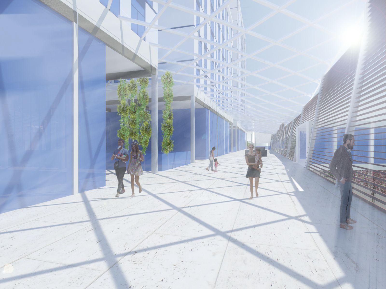 保罗·毛罗的第七期综合项目-11