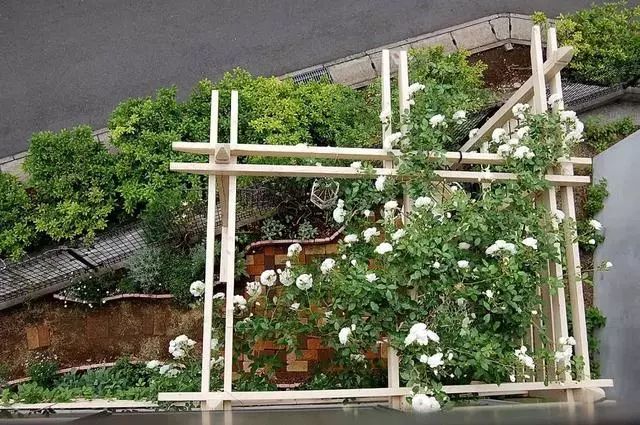 历时19年，小哥熬成大叔，不断改造进化的4㎡小院子！-41