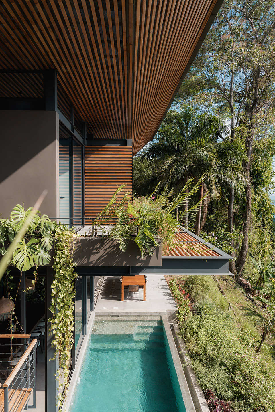 Cascada de Luz 别墅丨哥斯达黎加丨Studio Saxe-47