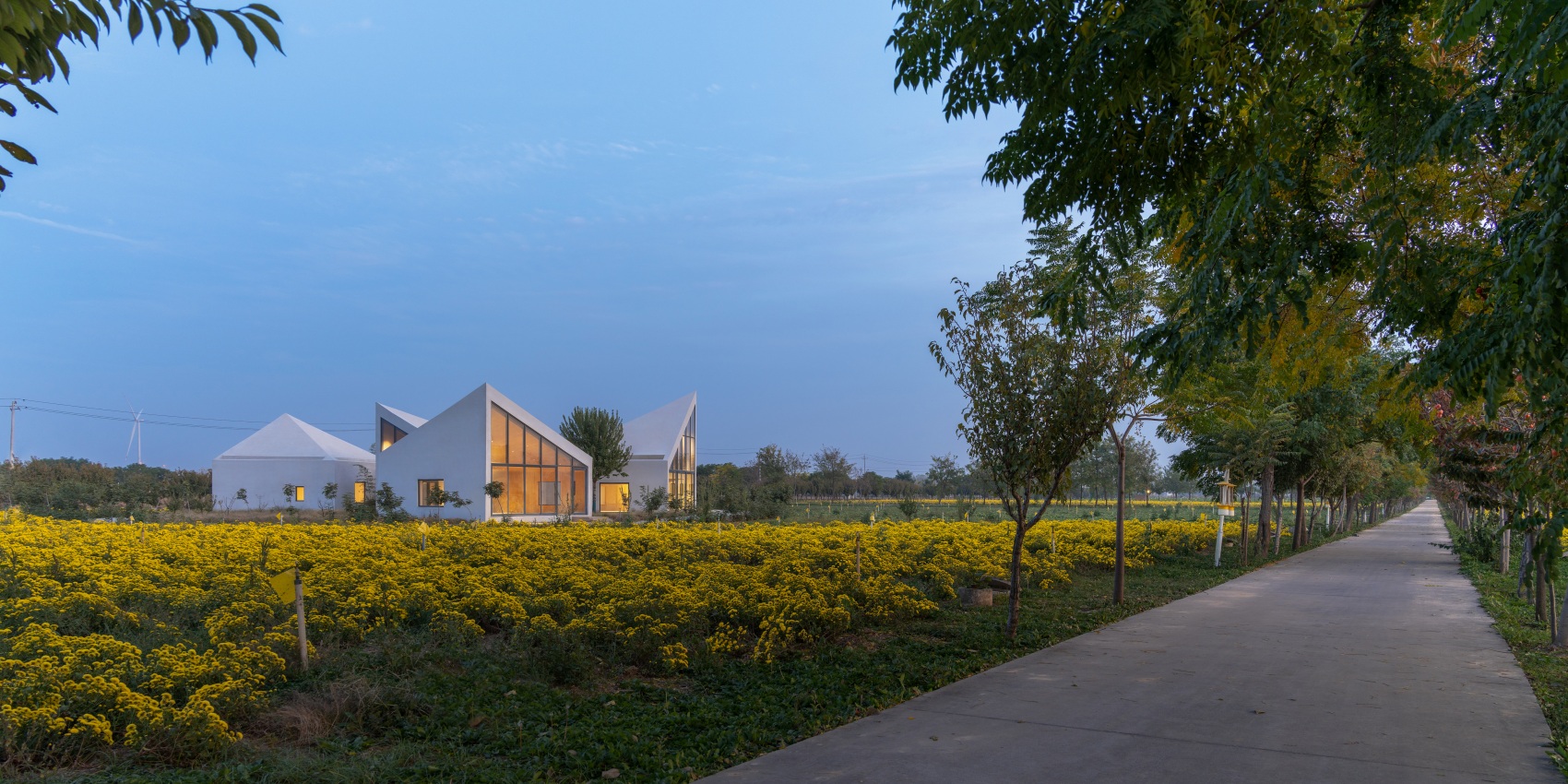 图书馆(位于菊花田中的现代图书馆)丨中国丨ATELIER XI-15