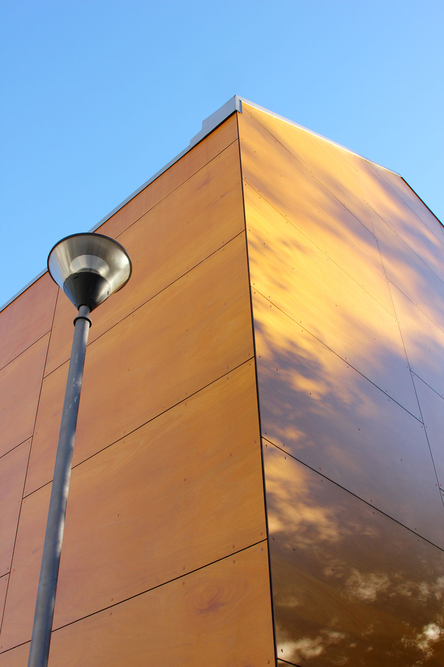 古特斯特拉圣贝内代托体育中心（Palestra San Benedetto）-12