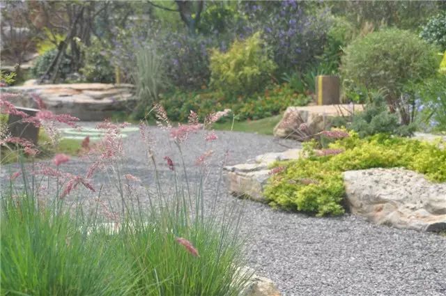 庭院花境中的土壤覆盖物设计与应用-19