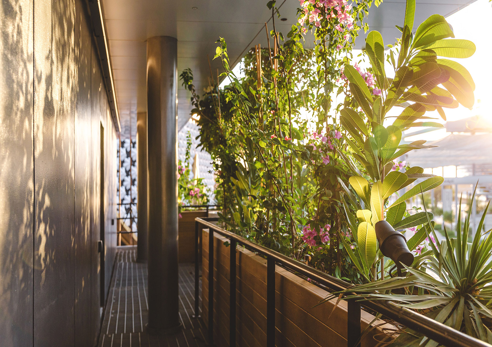 绿色拱门&2020迪拜世博会比利时馆丨阿联酋迪拜-171