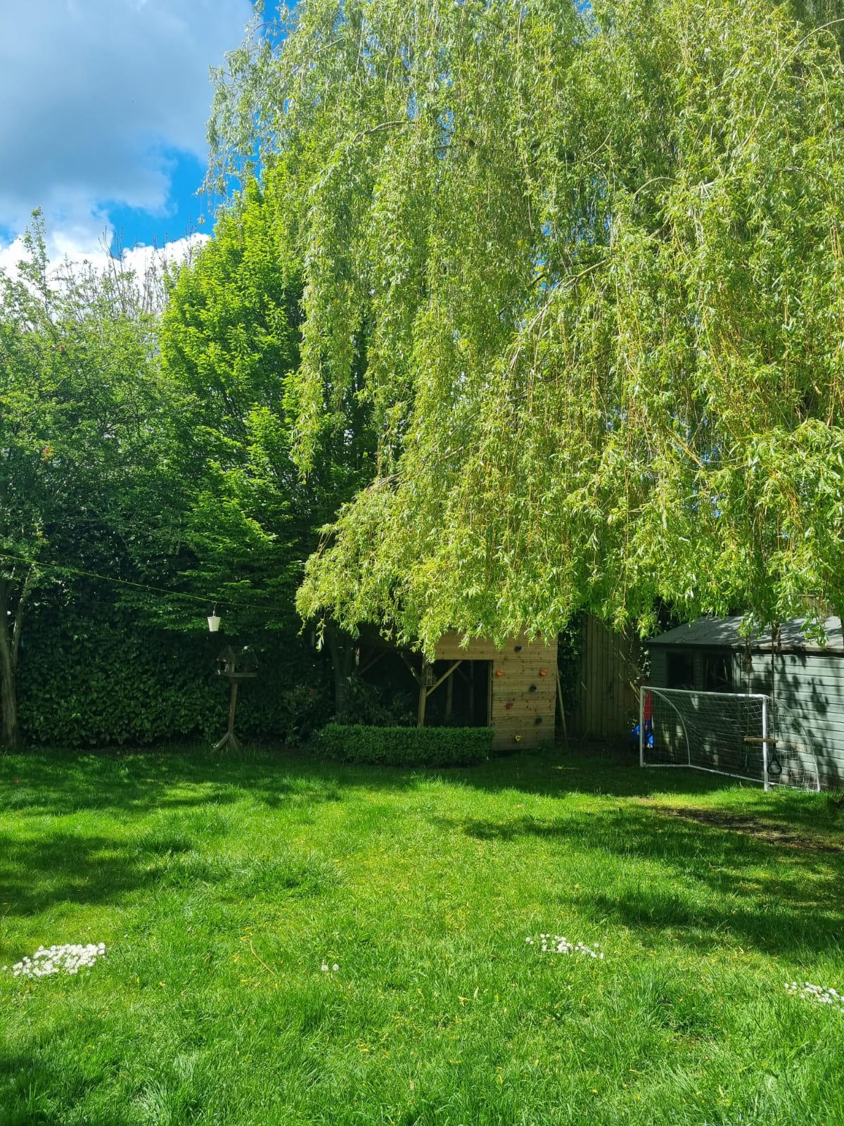 现代家庭花园丨Blue Iris Landscapes-24