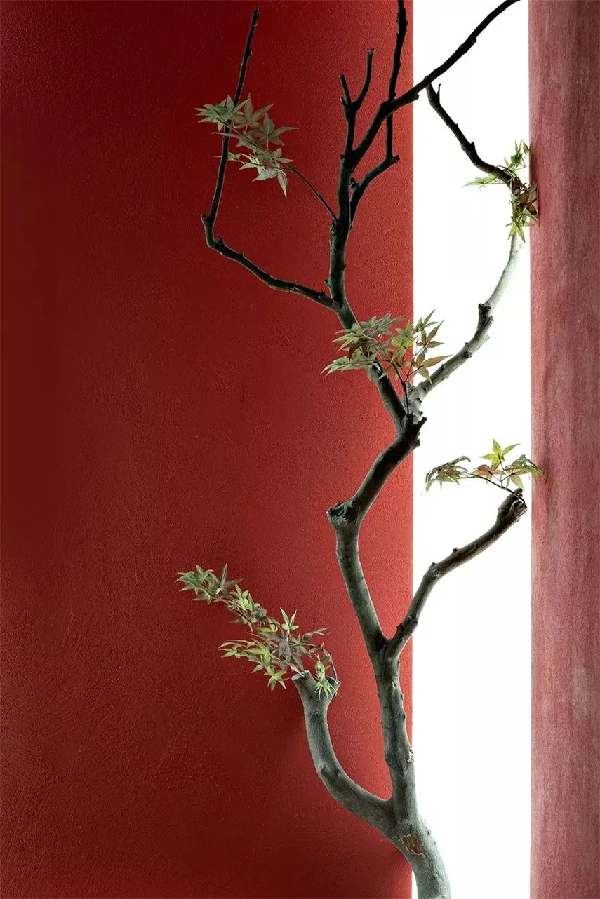 耘畴·日本料理丨中国无锡丨麦设计｜超感力设计研究所-39