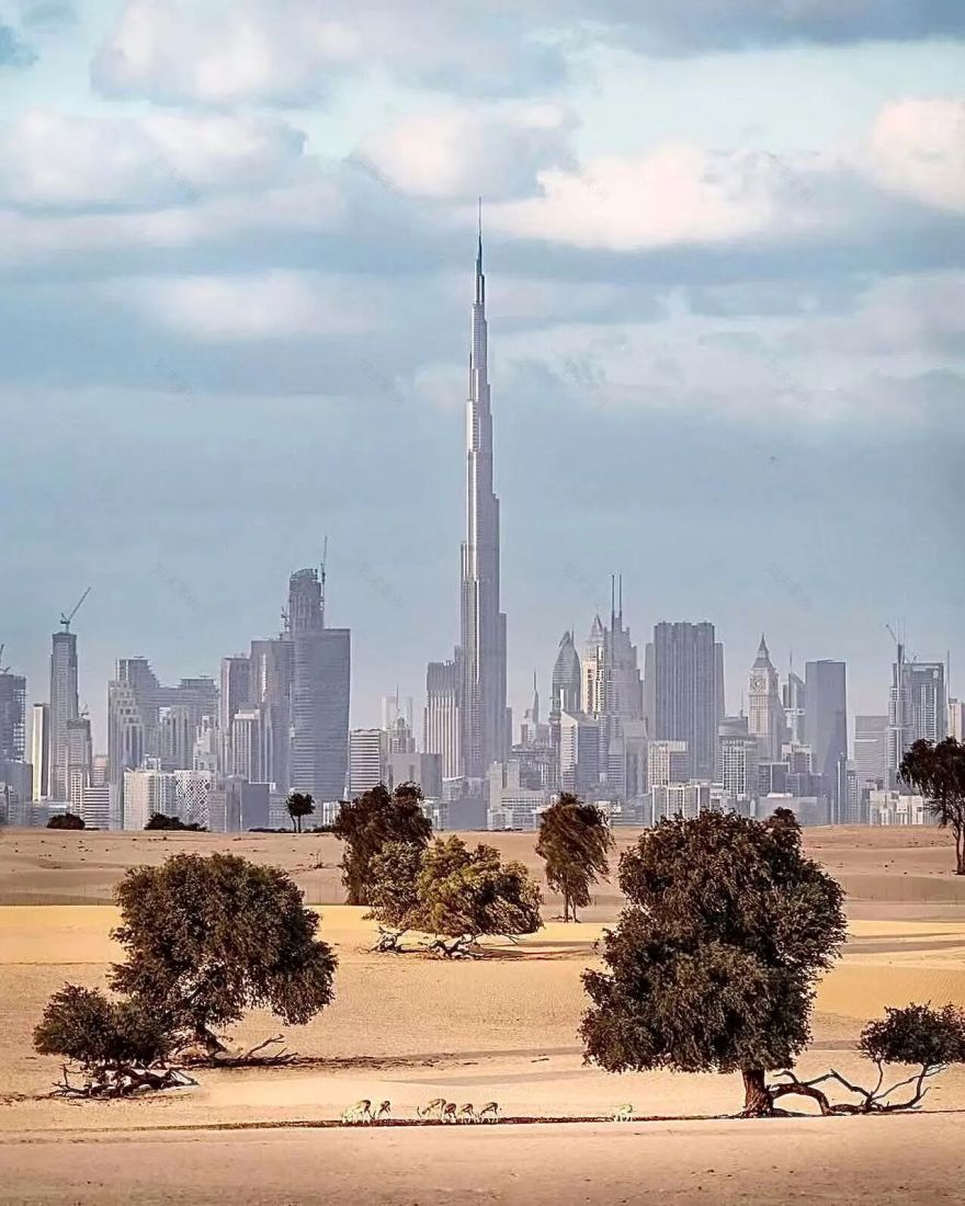 阿联酋迪拜JVC公寓丨United Arab EmiratesDubai丨VHD TG国际事业部,U Artist-4