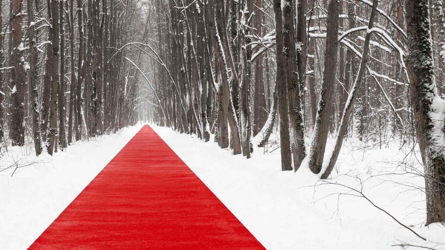 莫斯科马列维奇公园的红色地毯丨俄罗斯莫斯科丨El artista-10