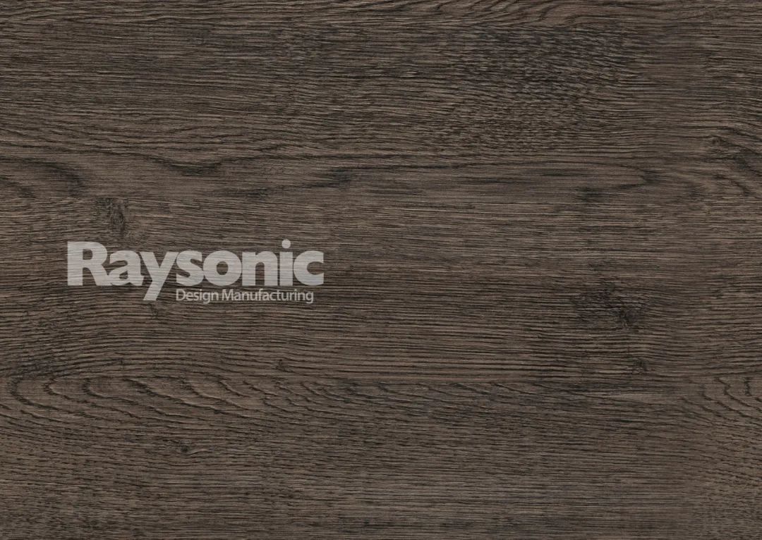 Raysonic2021 新色自然生活空间设计-16