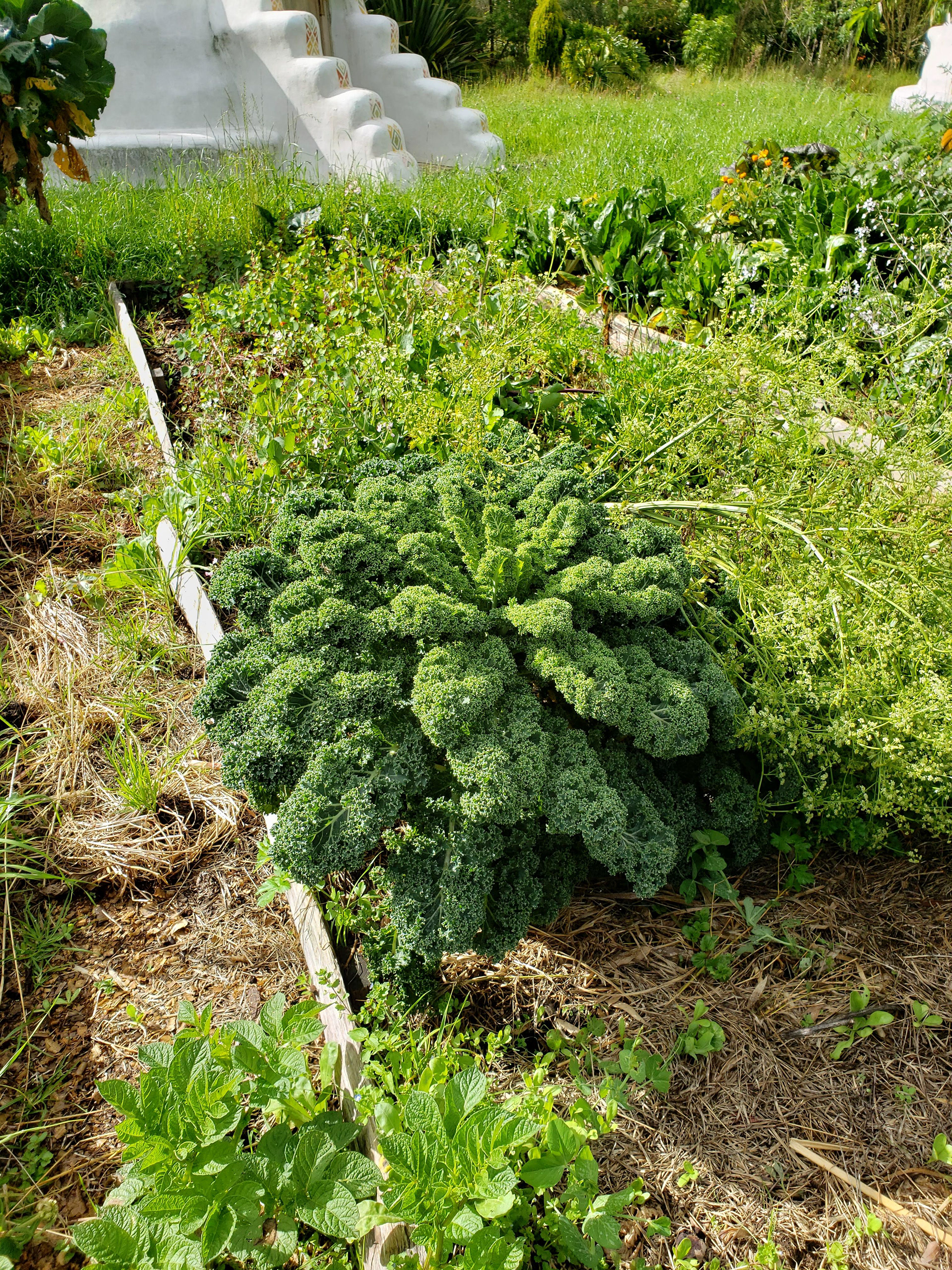 1ER TALLER DE CONSTRUCCIÓN CON TIERRA FO-43