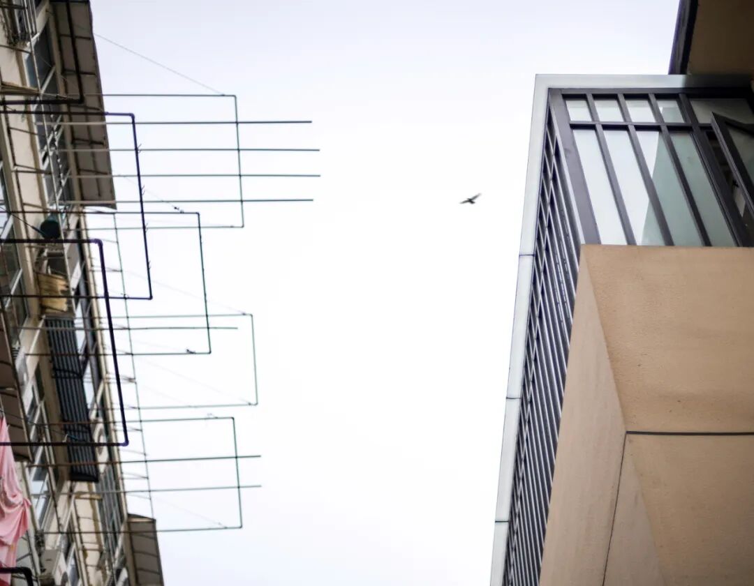 爱入尘烟-上海玉兰花开公益文化会客厅空间设计-200