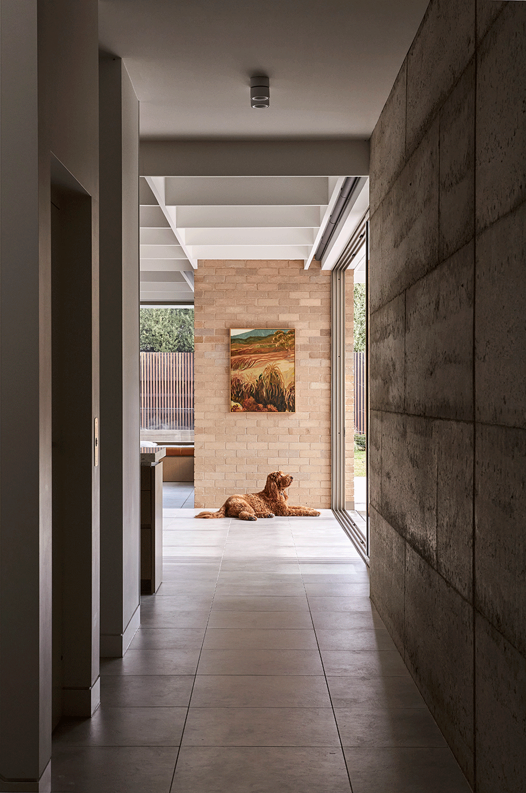 Robson Rak 自然墅居设计丨澳大利亚墨尔本-46