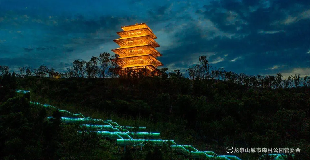 丹景阁 | 融入竹文化的现代观景楼阁-32