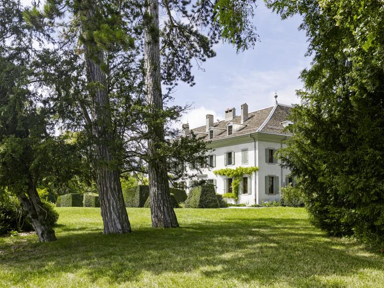 Geneva项目（未明确具体名称）-1