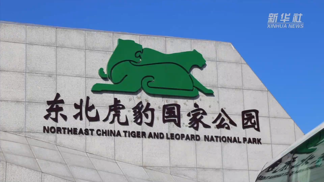 维迈作品|东北虎豹国家公园偷盗猎警示中心亮相新华社及诸多媒体成研学热门！-24