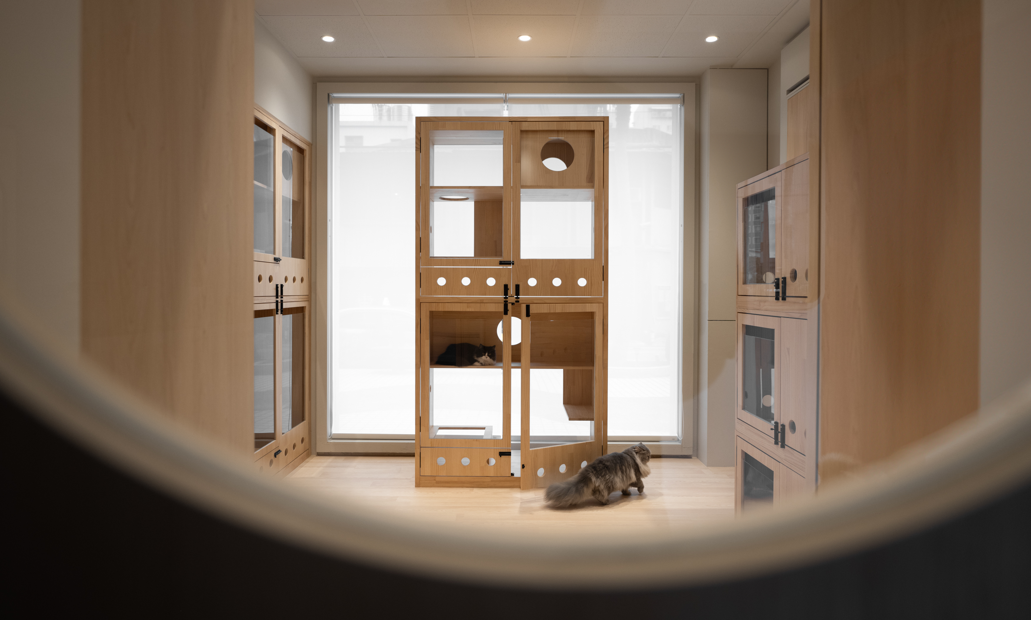 溫叨,Ourfamily丨Detail Studio Team-0