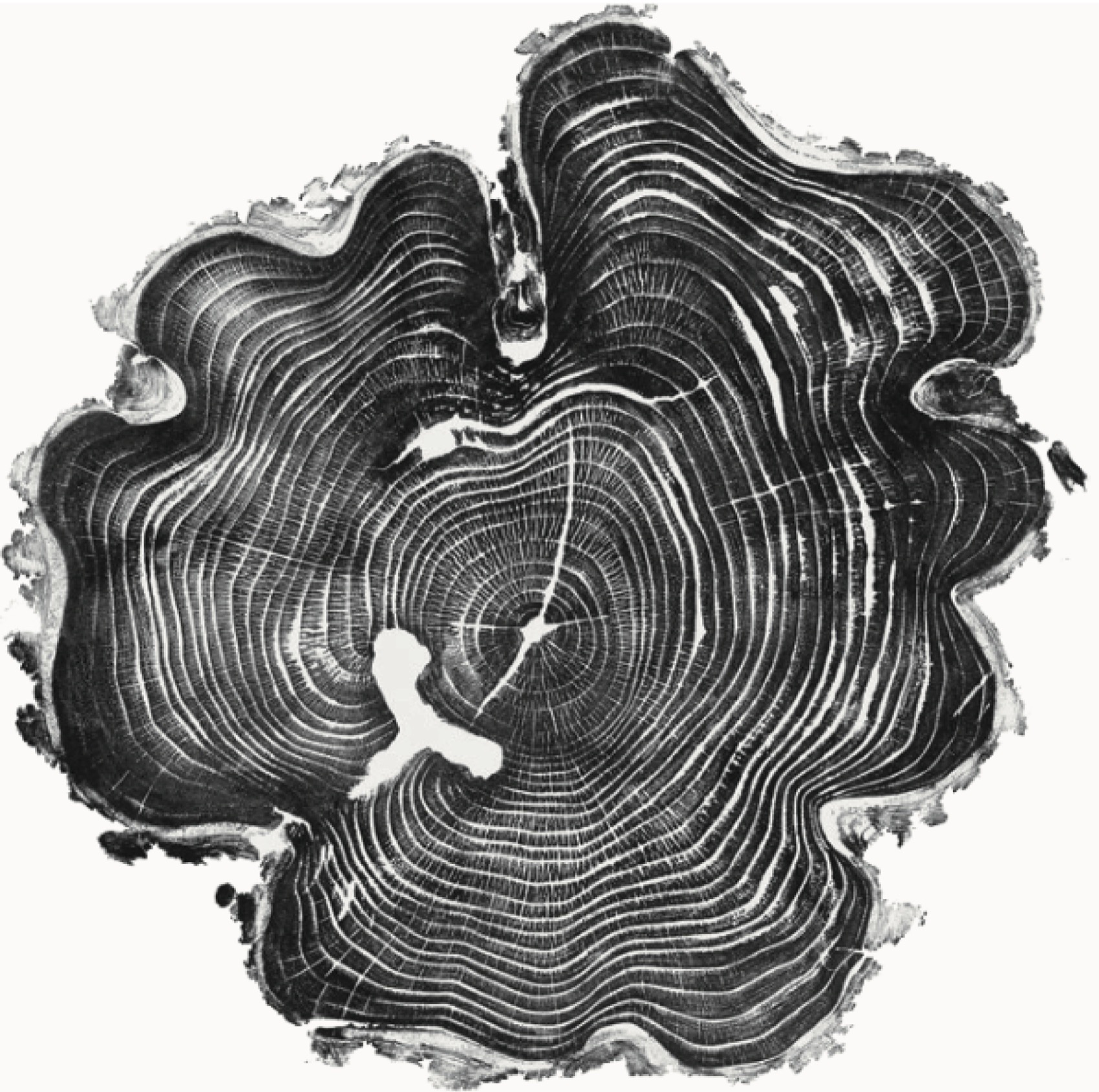 友邦总部园区丨中国嘉兴丨阔合CROX,温州设计集团等多家公司-14