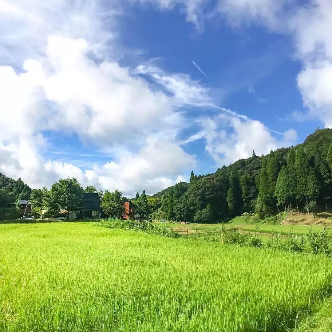 乡间童话 | 一家五口的美满生活-39