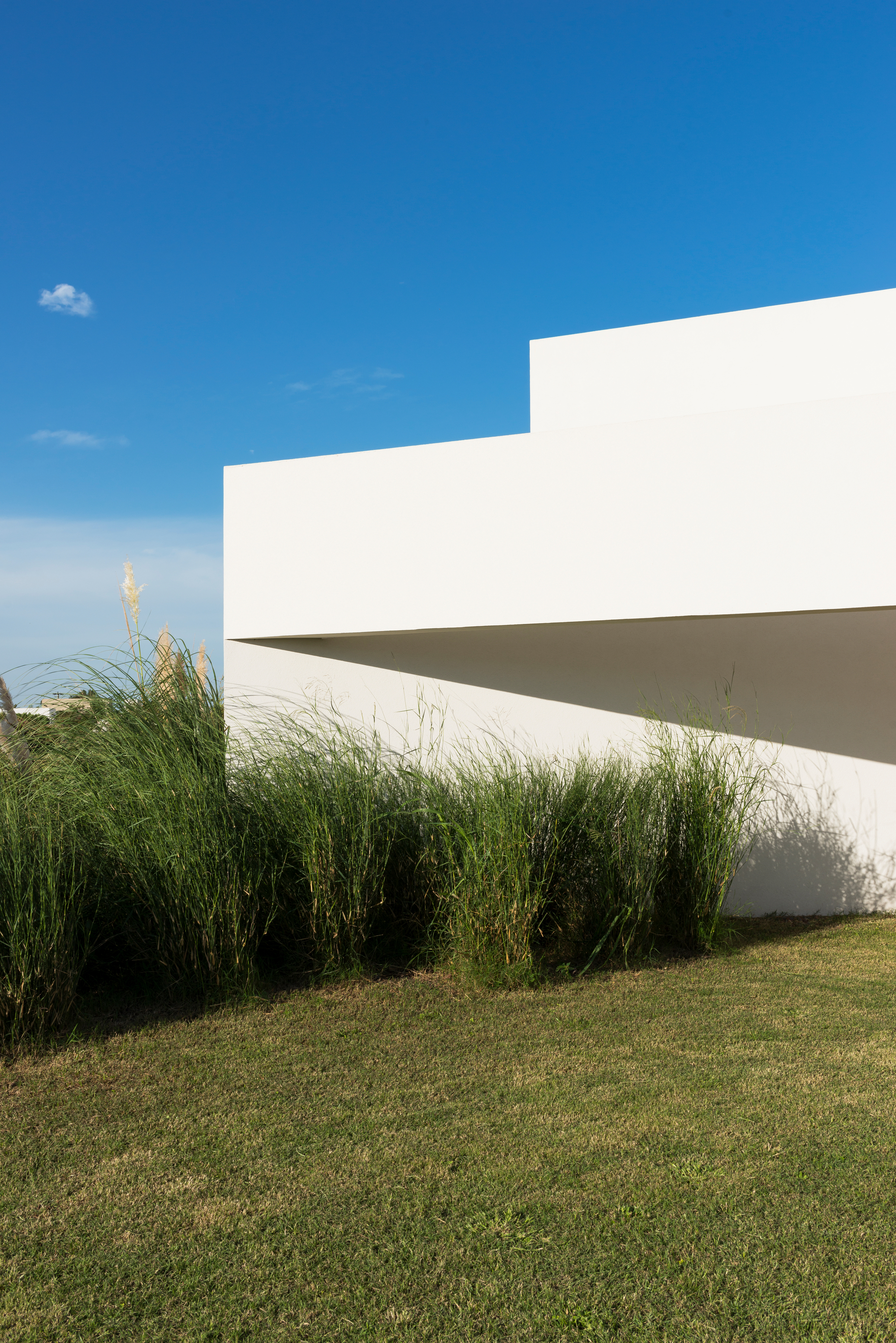 M&P House | 邻里和谐的城市绿洲-32