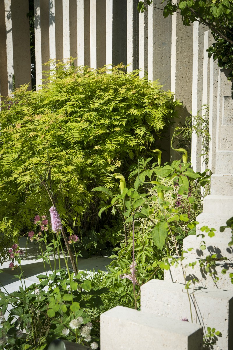 100平方米活动花园打造丨Alexandre Tonnerre-15