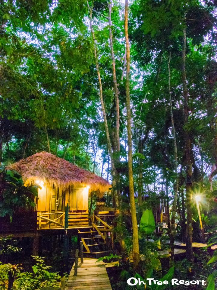 7 บ้านไม้ยกพื้นใต้ถุนสูง แบบไทยโบราณ บรรยากาศร่มรื่น - บ้านสไตล์-45