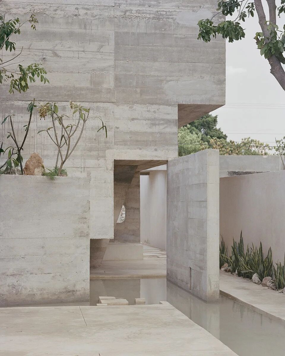 墨西哥椰林之家丨Ludwig Godefroy Office-21