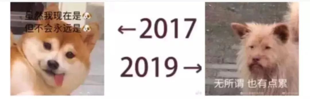 博洛尼新年保价活动 | 用 19 年价格住 20 年新家-7