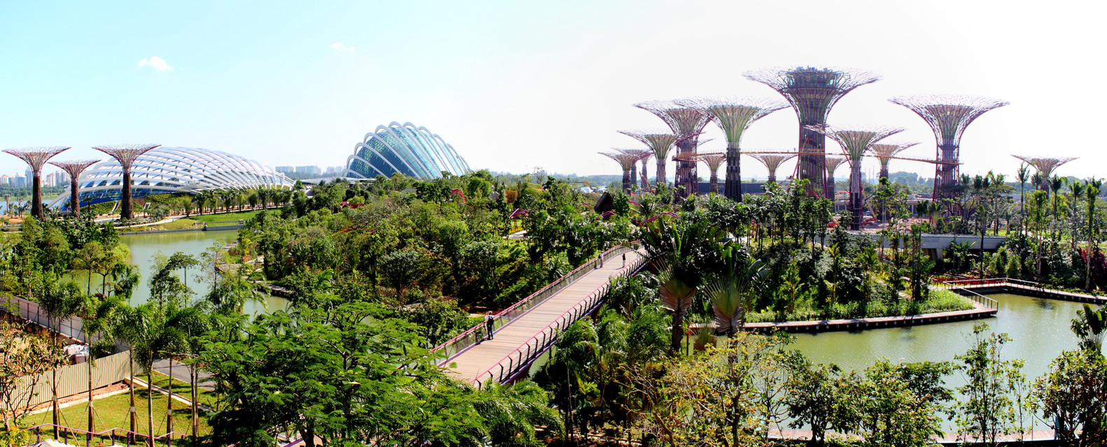 新加坡海湾花园-9