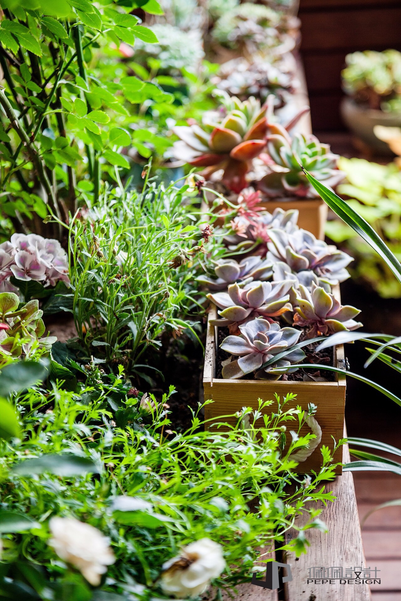 龙飞苑 220 平原木家居-25