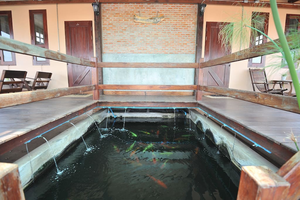 单层抬高地台带中央鱼池的现代风格住宅-11