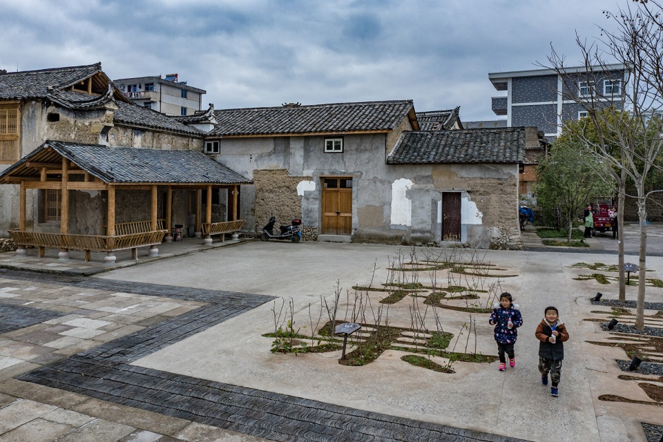 本草园丨中国丽水-26