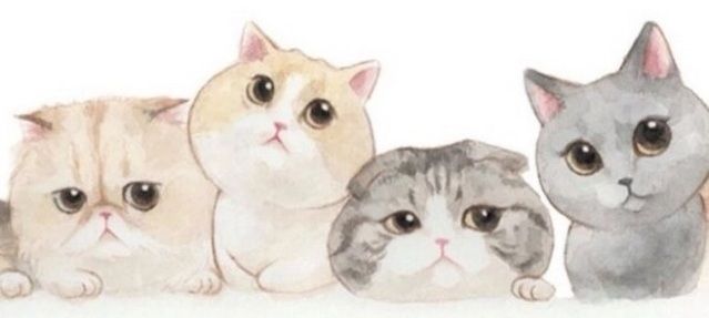 【易拍客No.5期 】陈丹作品 • 好一个明媚时光-34