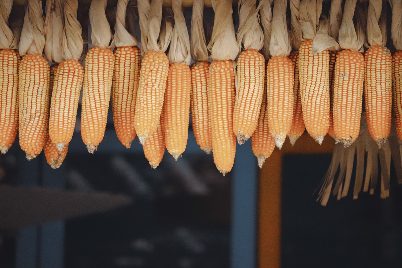 泰国清迈寺庙艺术空间-12