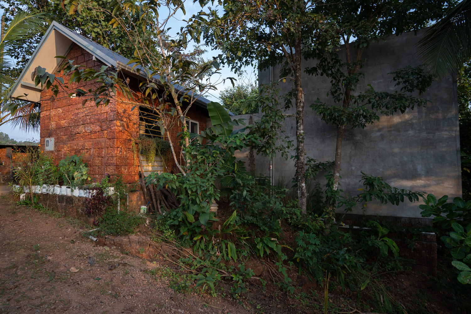 自然共生 · 印度艺术家住宅设计丨A Line Studio-40