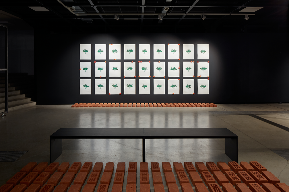 Izstādes «Dekoloniālās ekoloģijas» arhitektūra — «Gaiss» ← FOLD-4