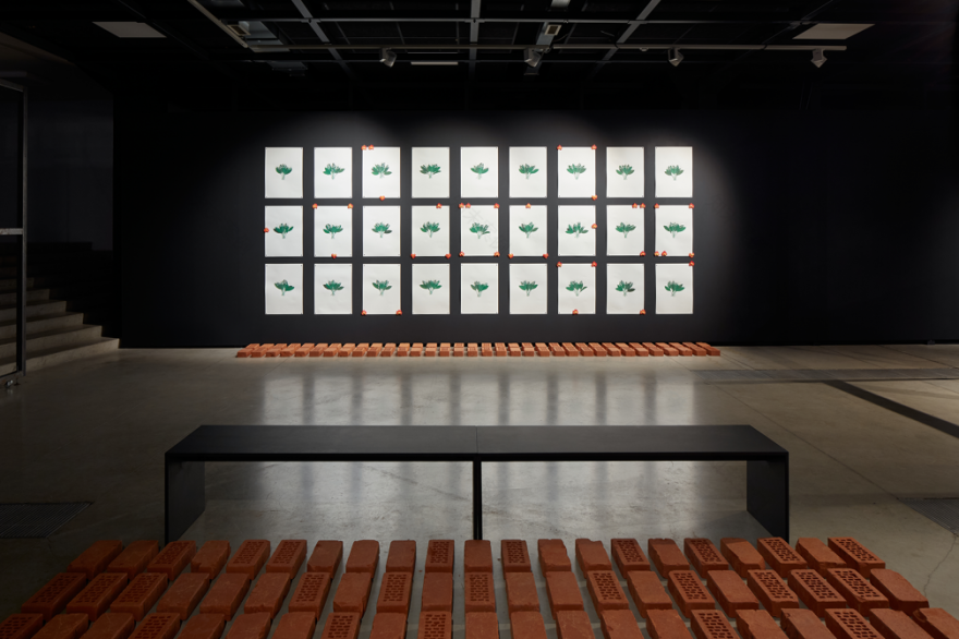 Izstādes «Dekoloniālās ekoloģijas» arhitektūra — «Gaiss» ← FOLD-4