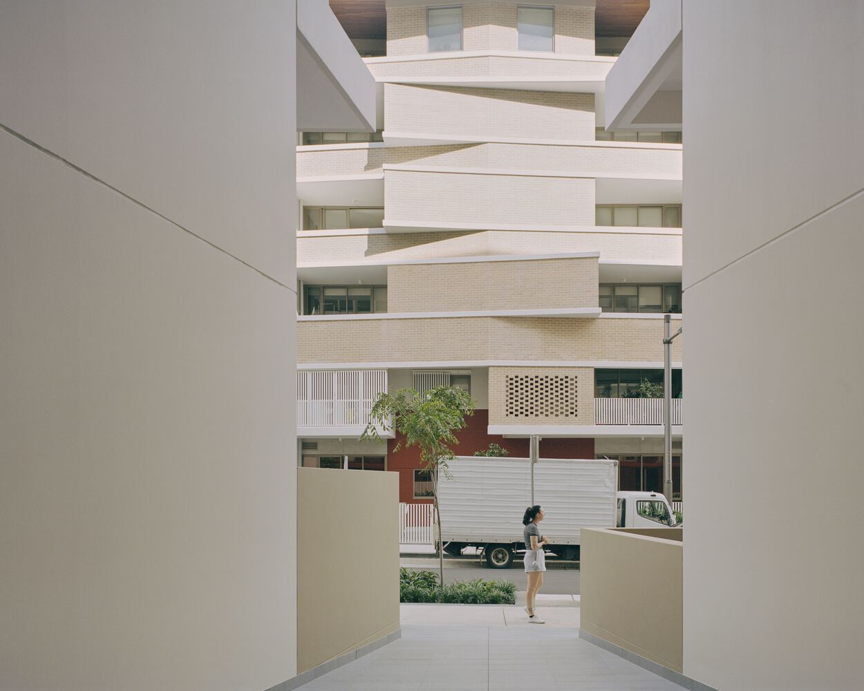 Botany Road 住宅区丨澳大利亚丨Candalepas Associates-39