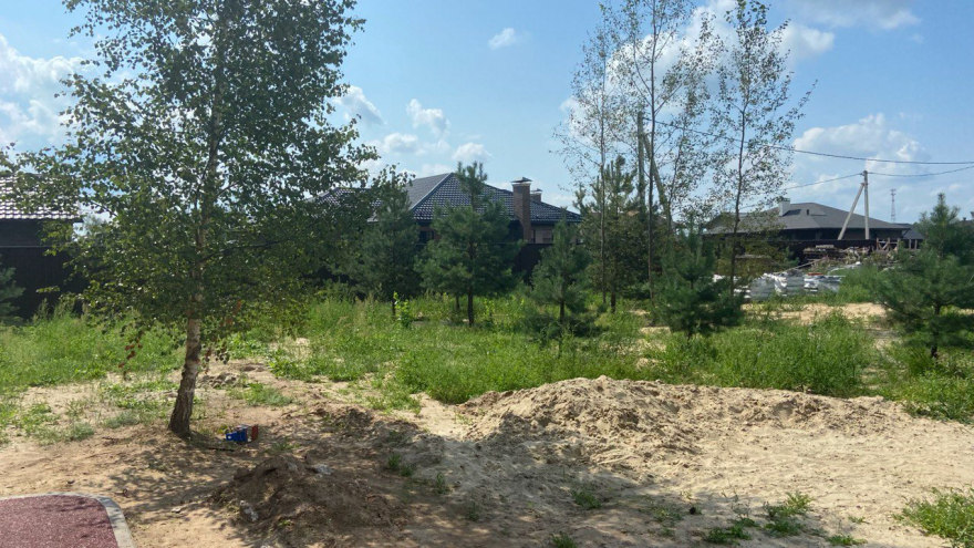 “На краю леса”花园概念与可视化设计-8