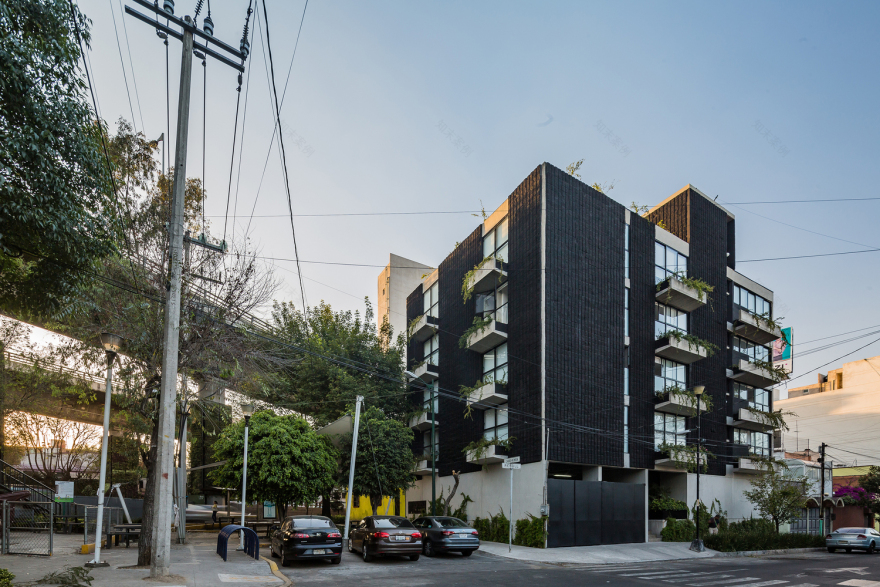 墨西哥城市中心公寓楼-32