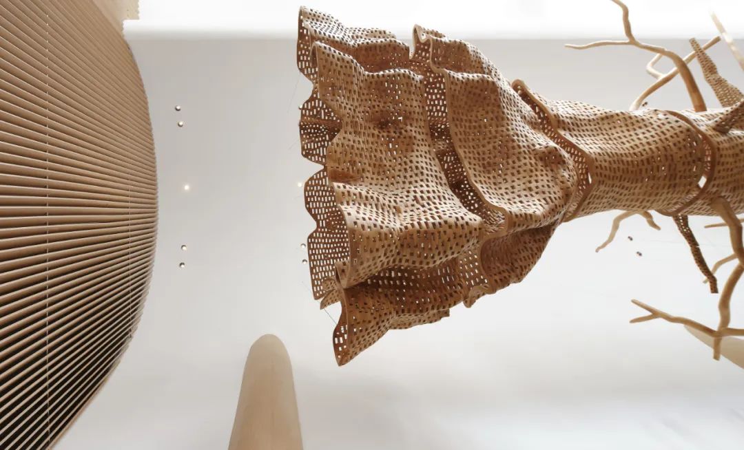 苏州美的阅湖山体验中心——自然诗意的现代空间-0