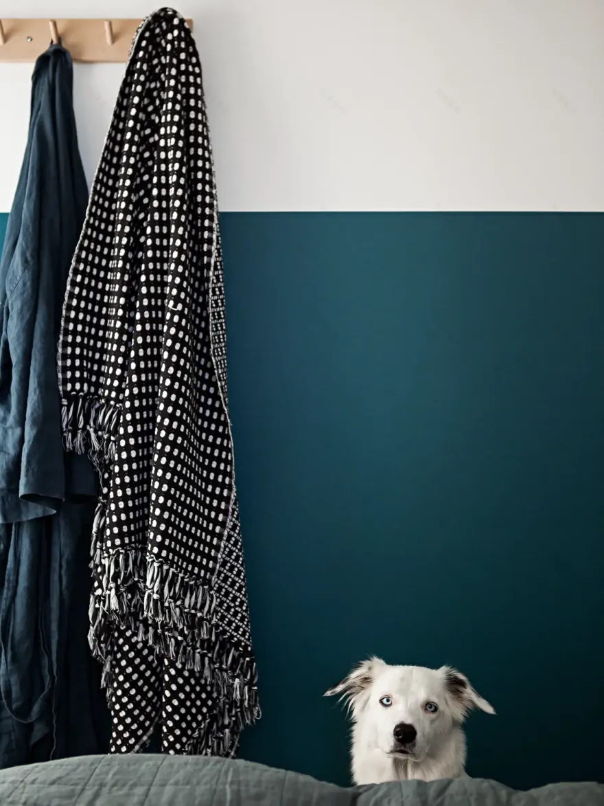 旧校舍的个性斯堪的纳维亚风格改造-13