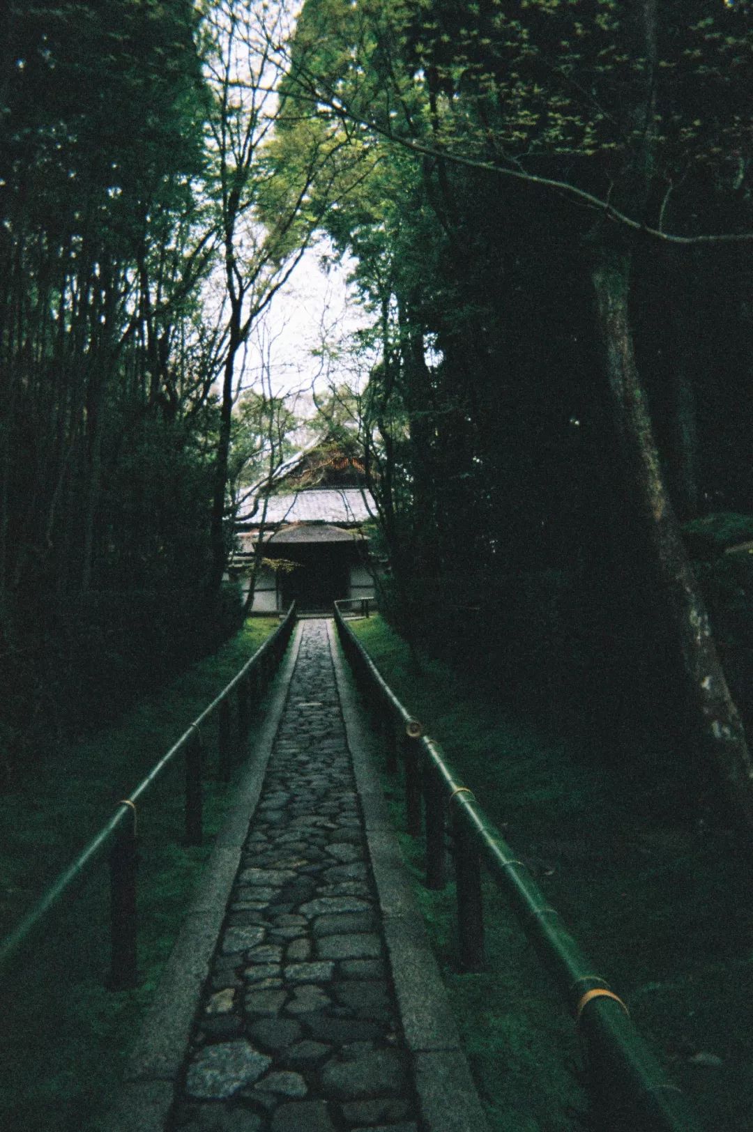 京都禅意漫步 | 私人庭园与古刹的宁静时光-39