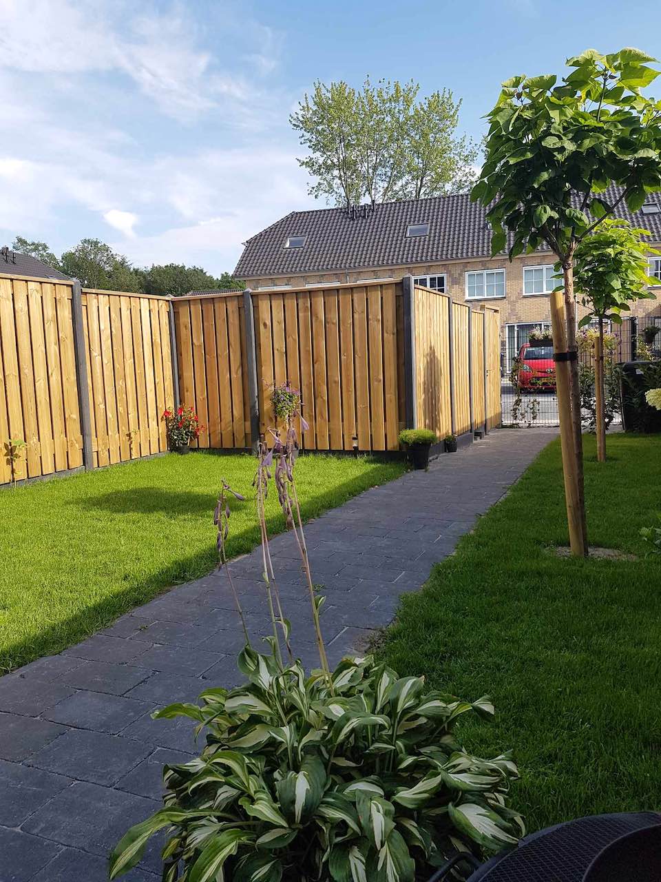 Margreet的带露台小花园丨荷兰阿森-8