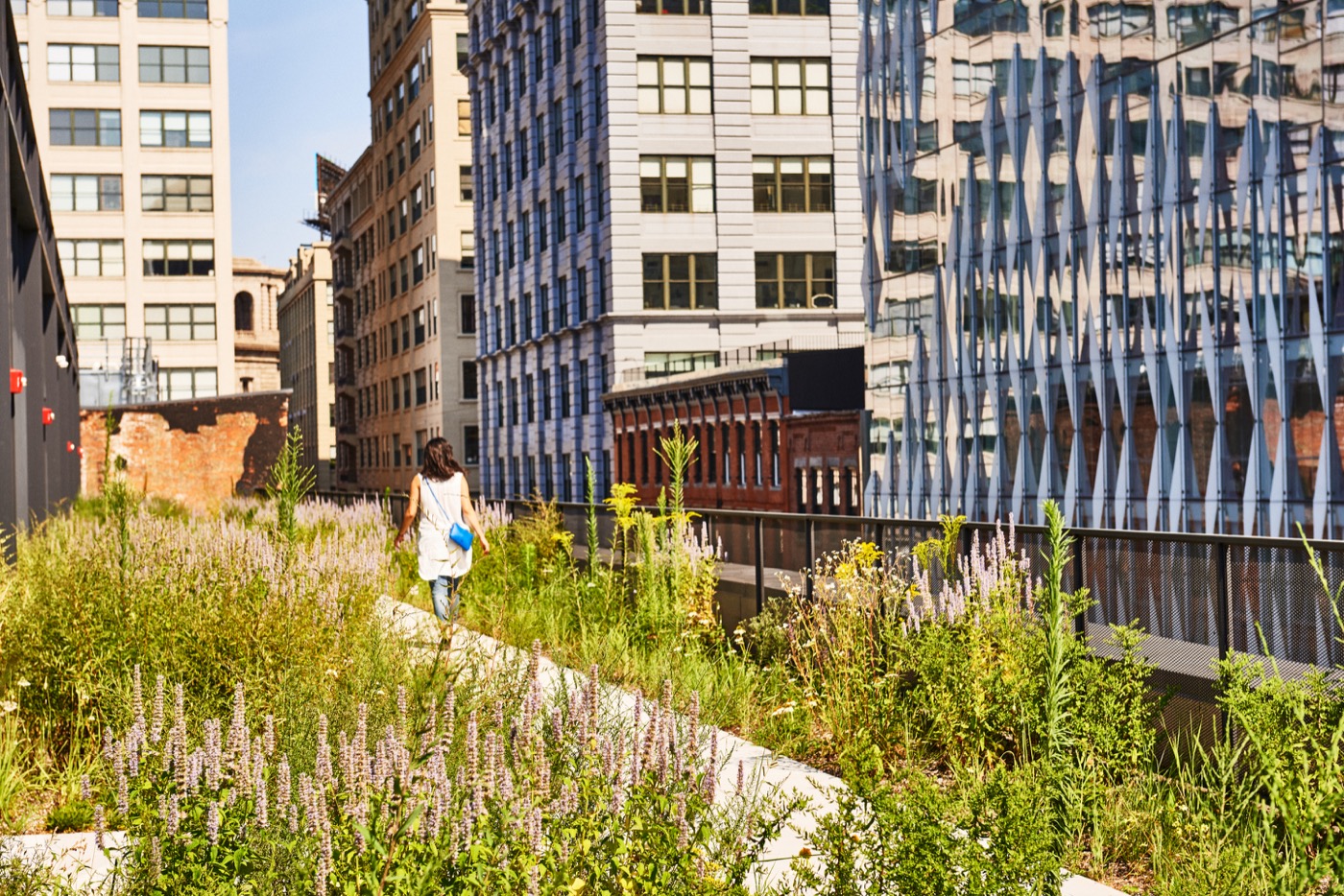 纽约布鲁克林大桥公园 Empire Stores 改造丨美国纽约丨Future Green-4