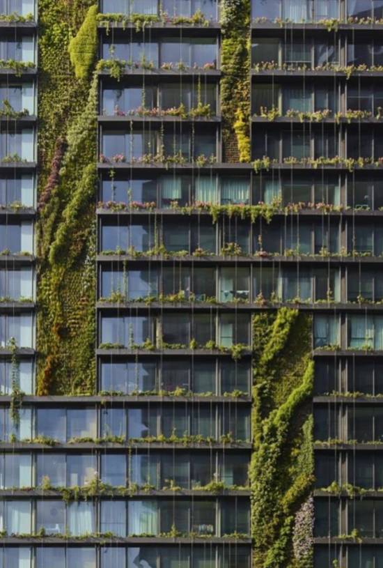 绿先生 | 把热带雨林搬进城市的垂直花园之父-49