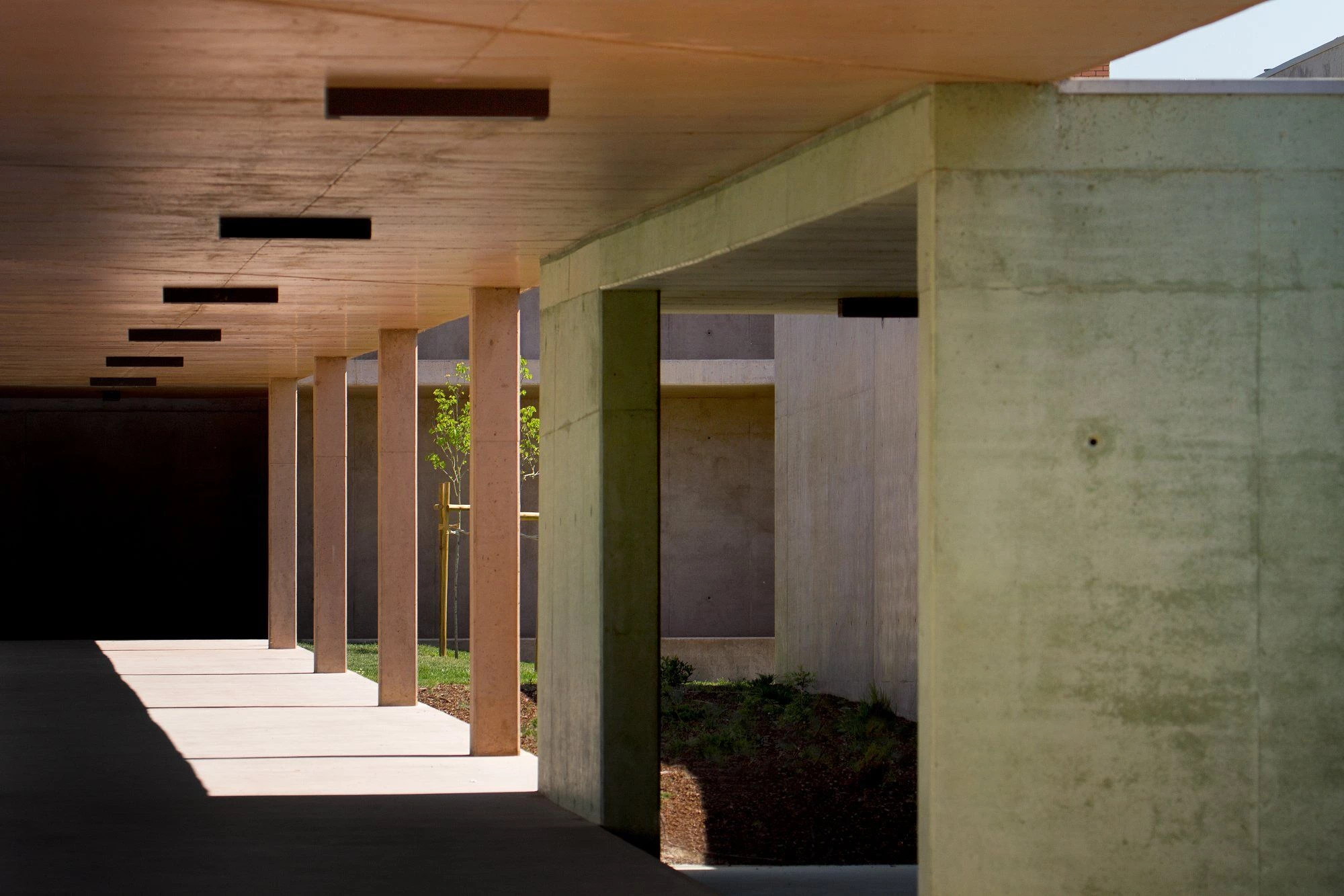 MontemoroVelho 中小学丨葡萄牙丨ATELIER CENTRAL Arquitectos-47