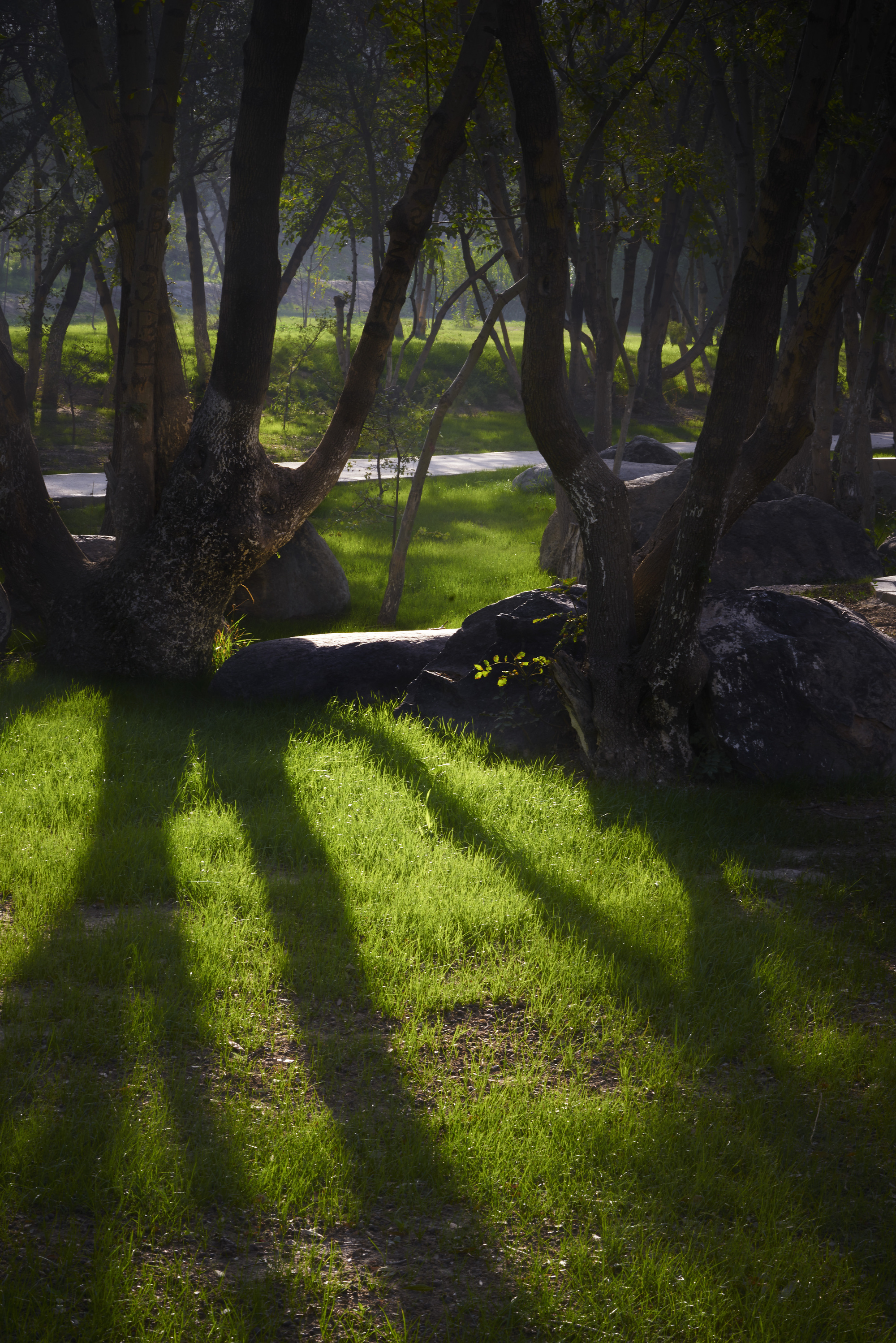 阿富汗重建奇跡 | 修复遗址,打造文化绿洲-38